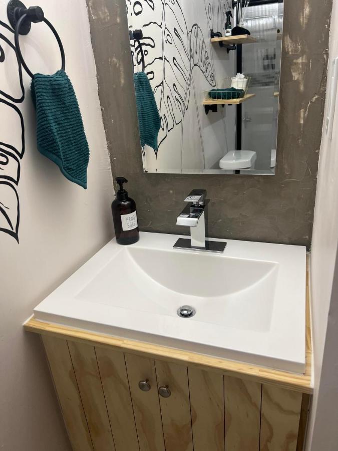 Busch Gardens Bliss Suite-2 タンパ エクステリア 写真